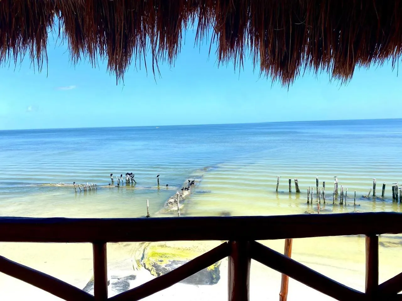 Golden Paradise Beachfront Isla Holbox