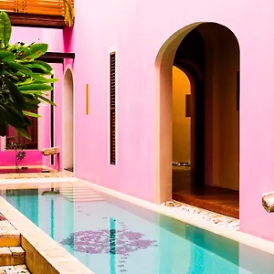 Hotel Rosas & Xocolate Boutique And Merida, A Member Of Design