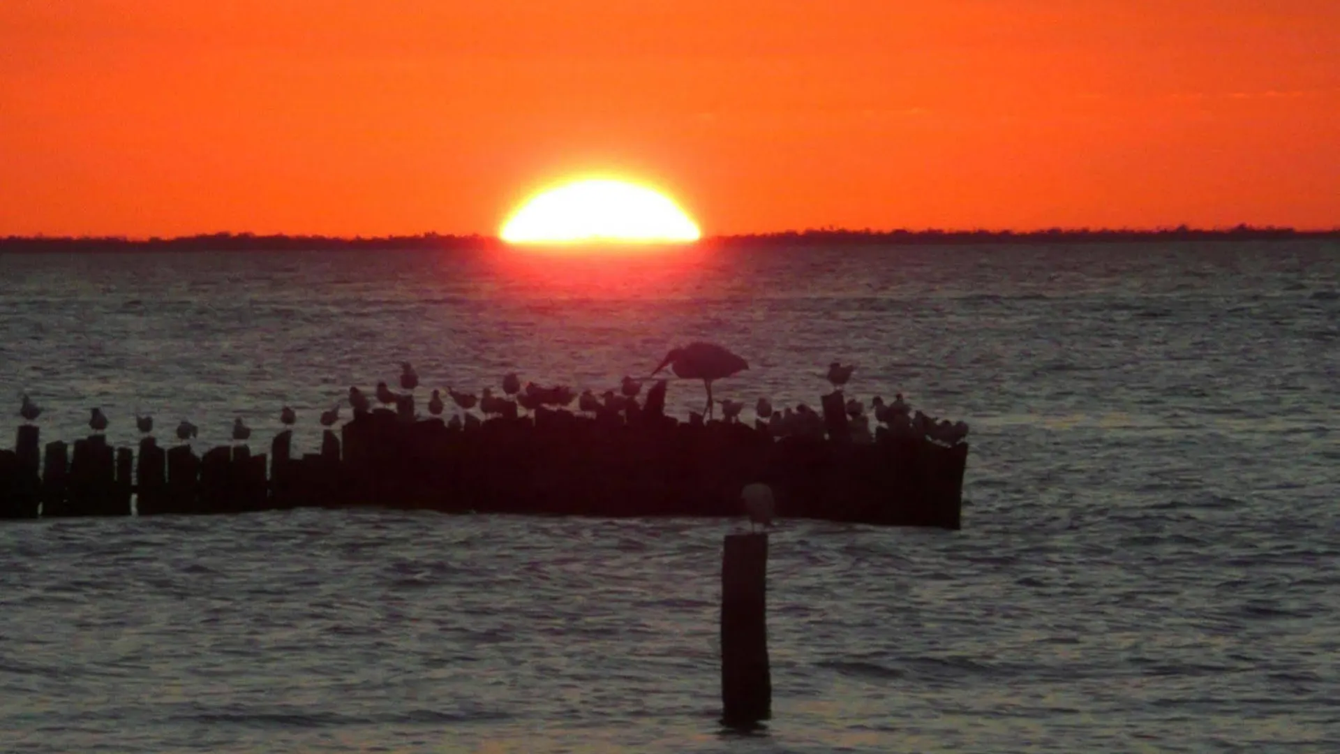 Golden Paradise Beach Isla Holbox Ξενοδοχείο