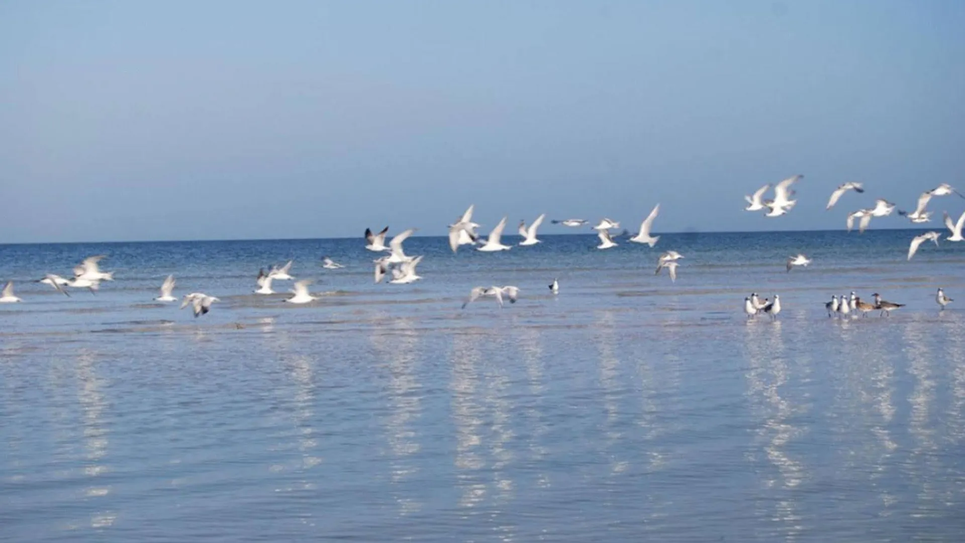 Golden Paradise Beach Isla Holbox Ξενοδοχείο